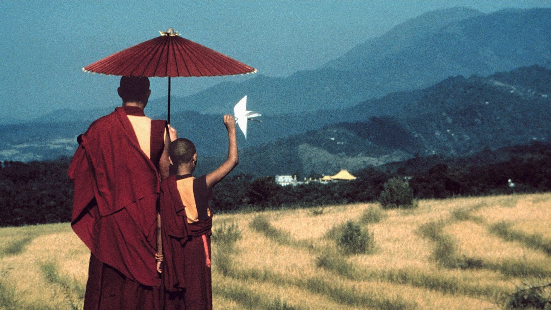 纽约时报报刊视频,纽约时报纪录片视频