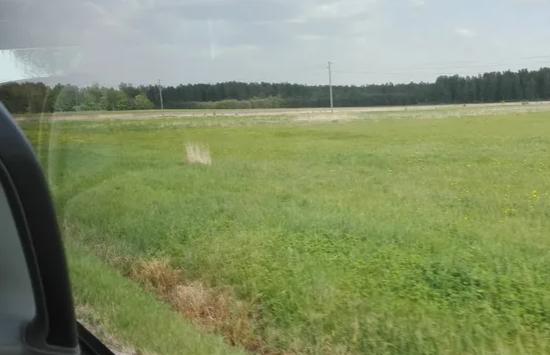 拉脱维亚的现状,拉脱维亚为什么那么多人