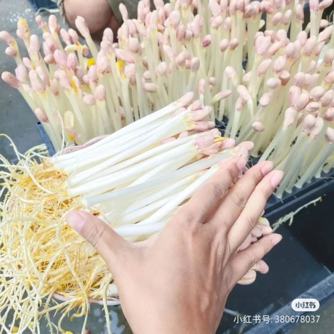 最新火锅虾滑,火锅虾滑新品