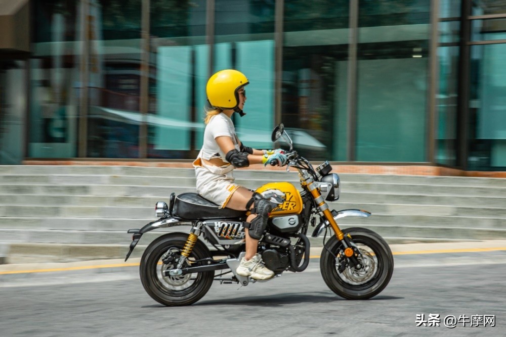 银钢150和蜜獾怎么选,平头哥蜜獾的战斗力有多强