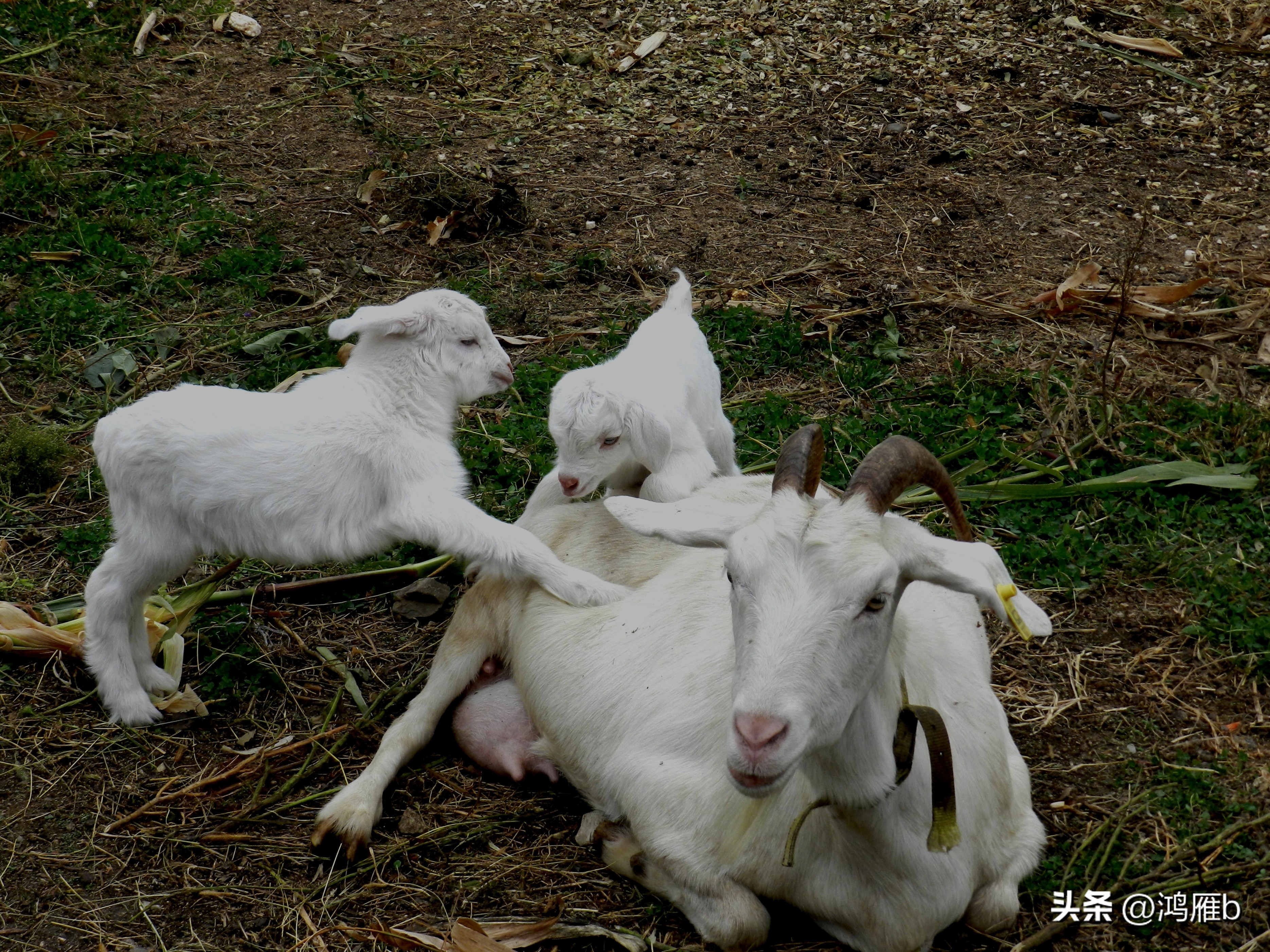 本溪温泉汤沟门票价格,本溪花溪沐枫雪温泉小镇