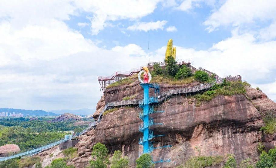 桃金娘果清远,清远桃金娘