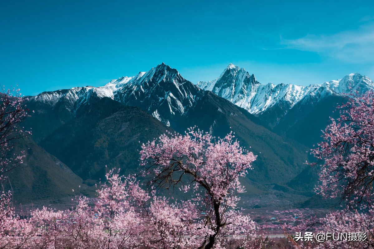 10个摄影技巧教你用手机拍出大片,掌握这十二个拍摄小技巧