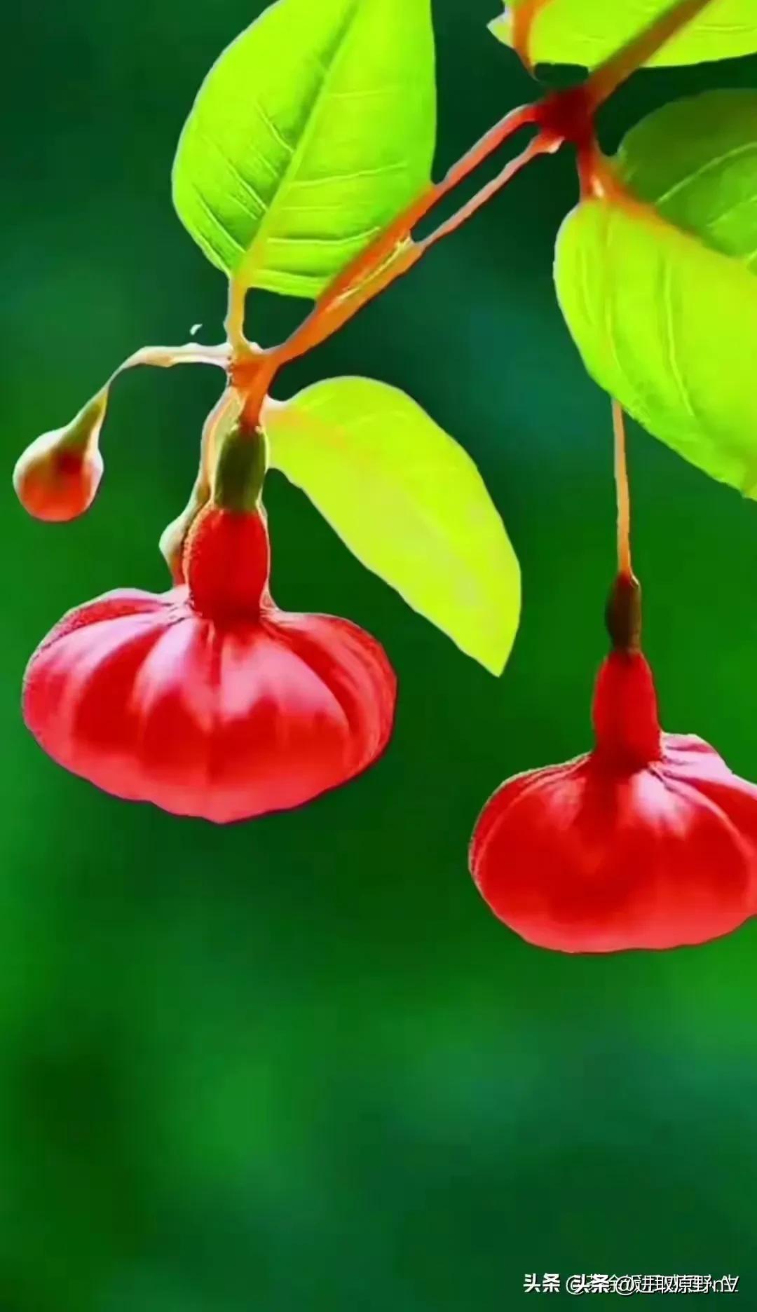 鎰熸偀浜虹敓鍗佹偀,浜虹敓鍗佹偀鎰熻Е棰囨繁