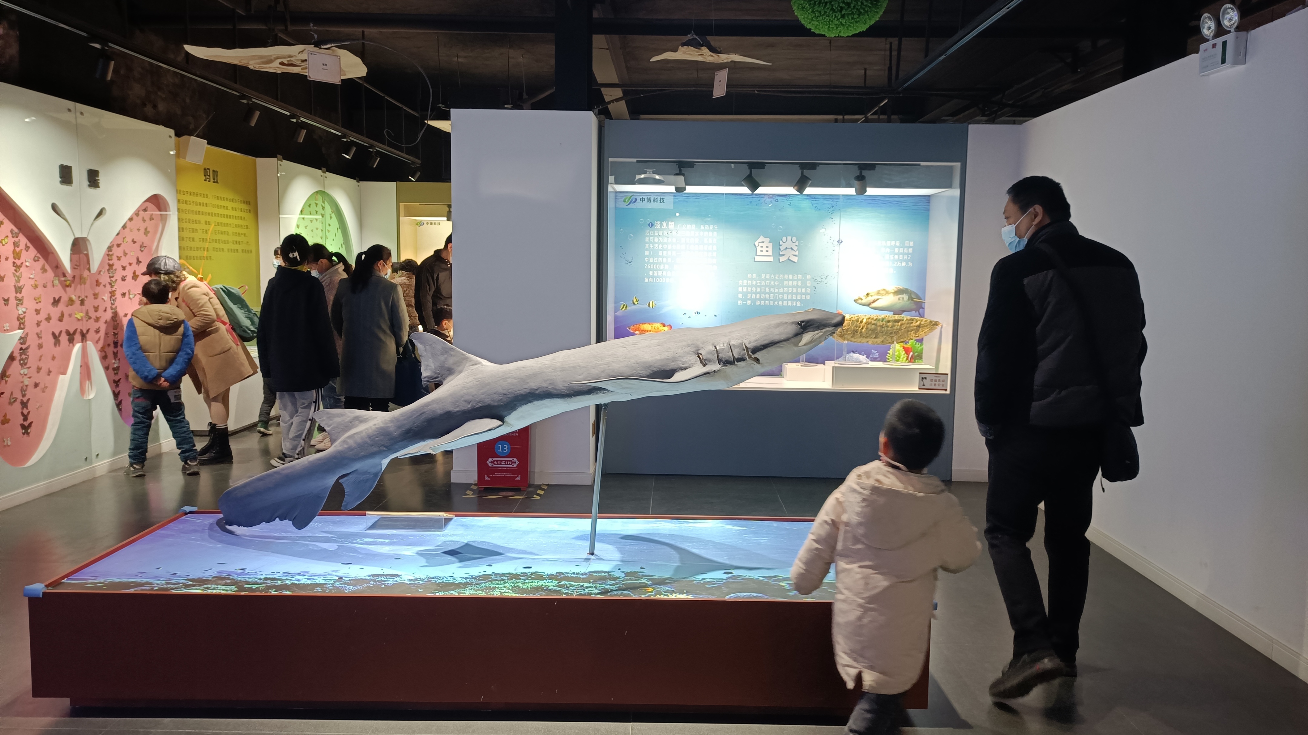 閮戝窞鍛ㄨ竟閫傚悎鏄ュぉ鍘荤殑鍦版柟,閮戝窞鏄ュぉ鏈夊摢浜涘ソ鐜╃殑鍦版柟