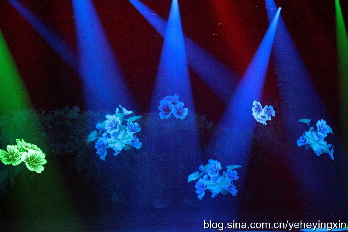 丽江丽水金沙表演好看吗,丽水金沙民族歌舞表演