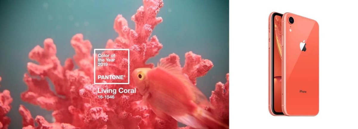 最近热卖爆款产品怎么看,最近火的爆款产品