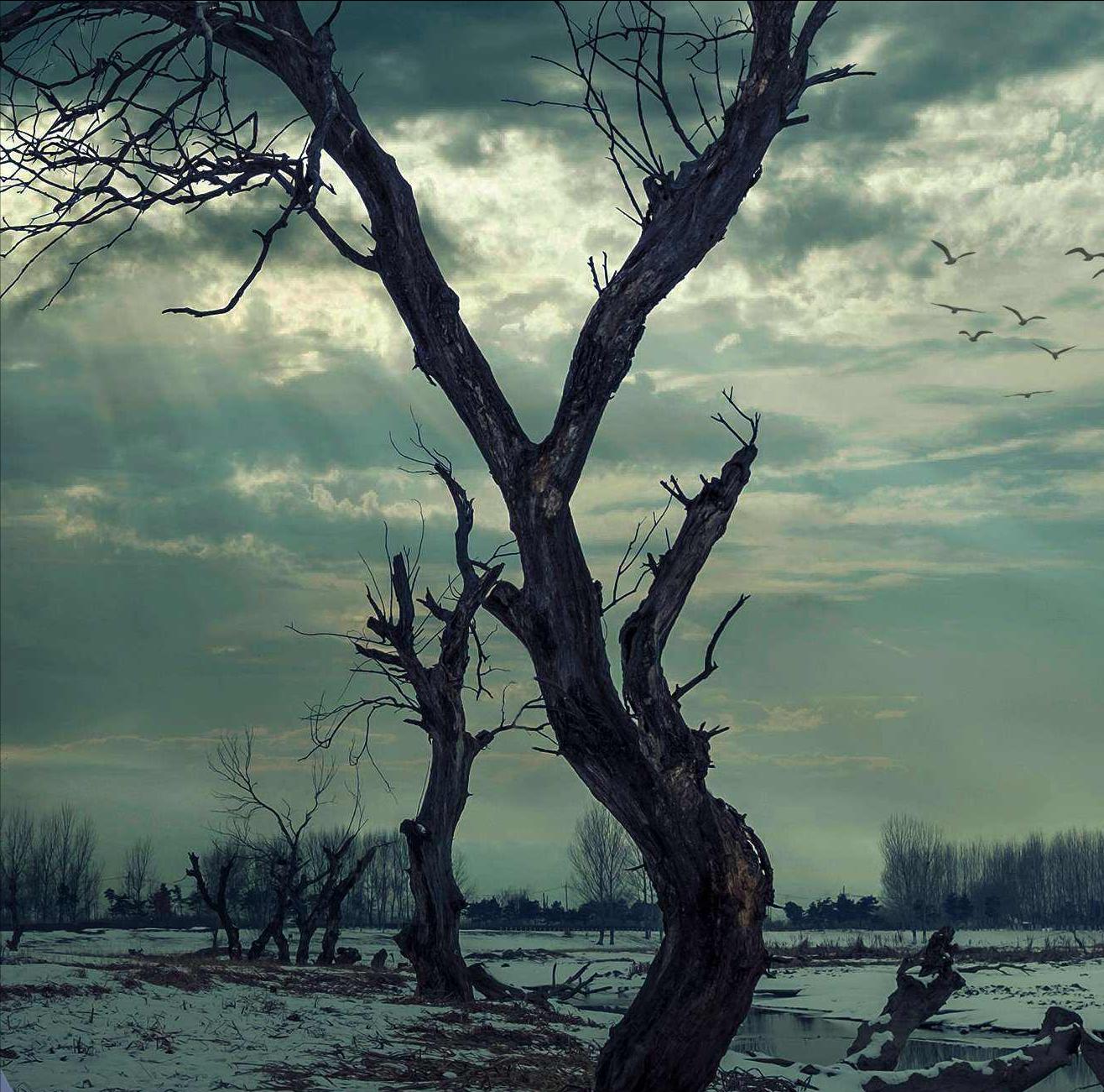 国学大师曾仕强讲报应,国学大师曾仕强不要指责别人