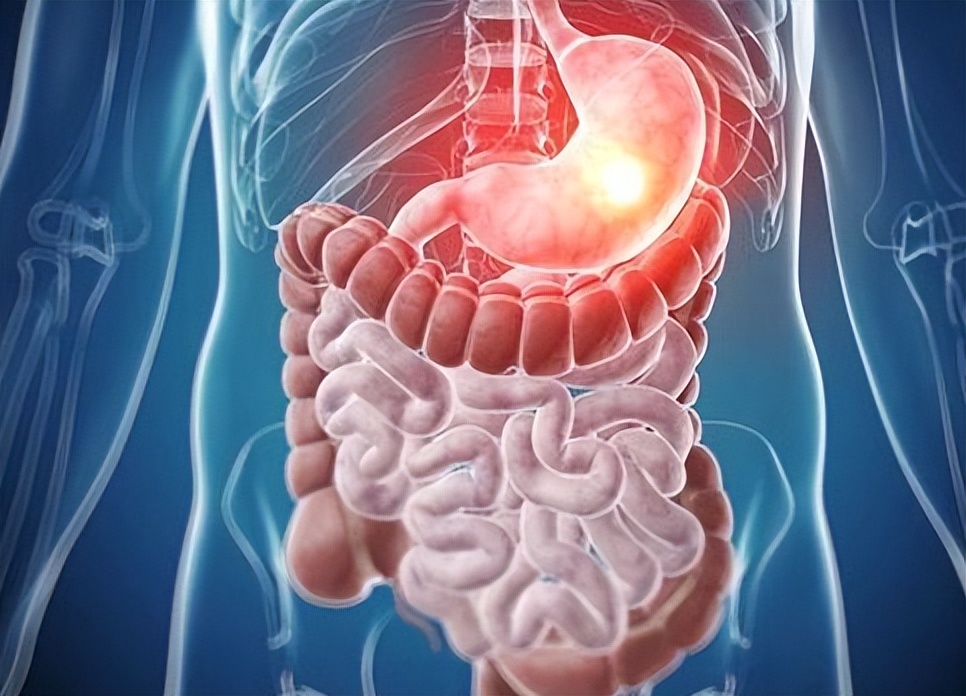 饿得快饱得快怎么调理,饿得快但消化不良是什么原因