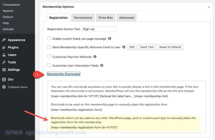 divi建站,divi中文教程