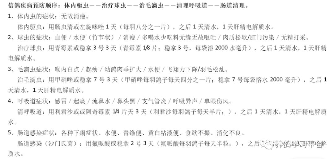 养鸽用哪些中药配方,养鸽人必备四种常见人用药