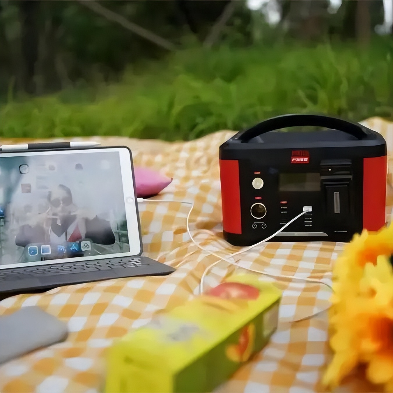 便携户外储能电源市场分析,便携式储能电源海外市场