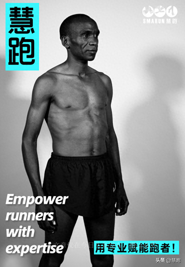 从小白到职业健身选手,从小白到标准体型