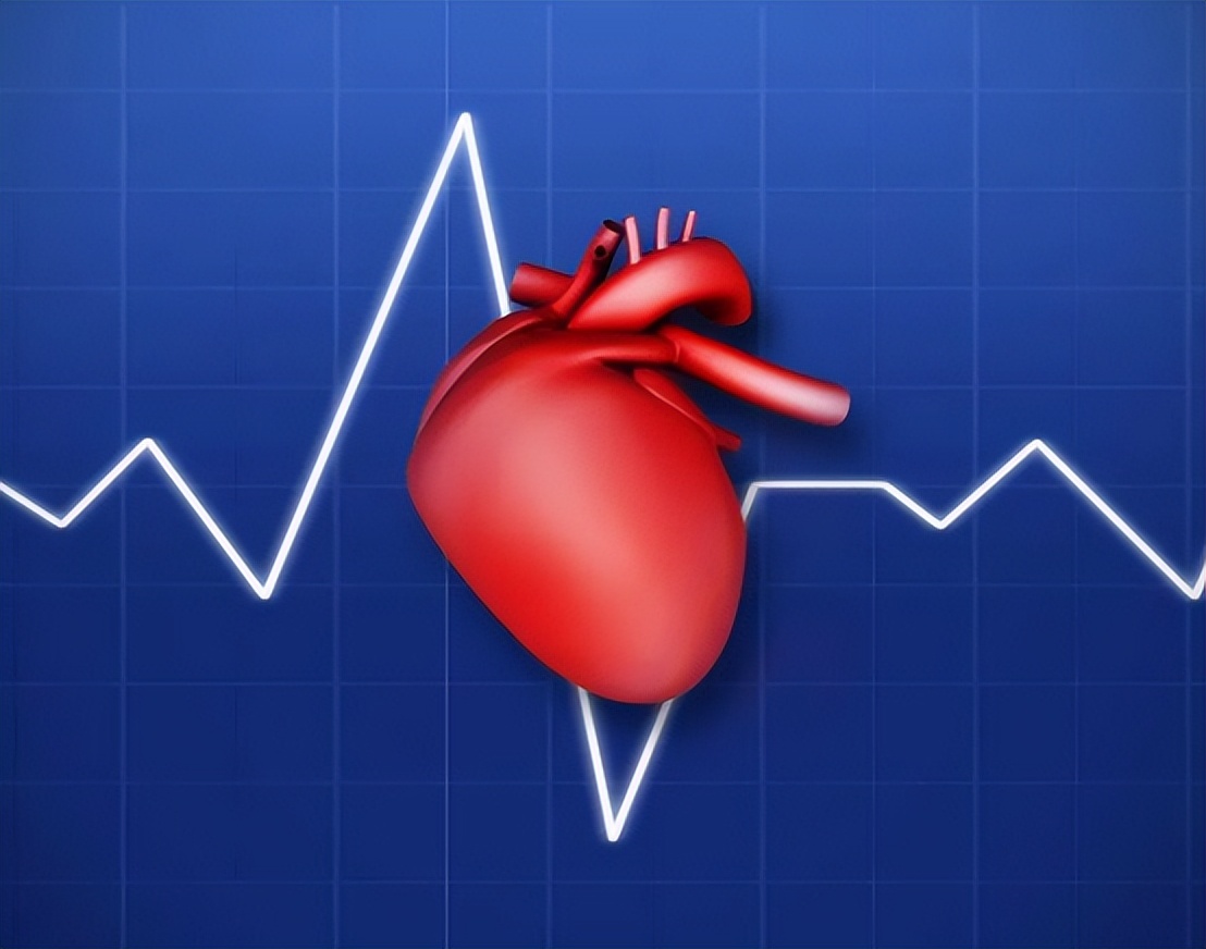 心跳速度与寿命长短的关系,心率快寿命短有科学依据吗
