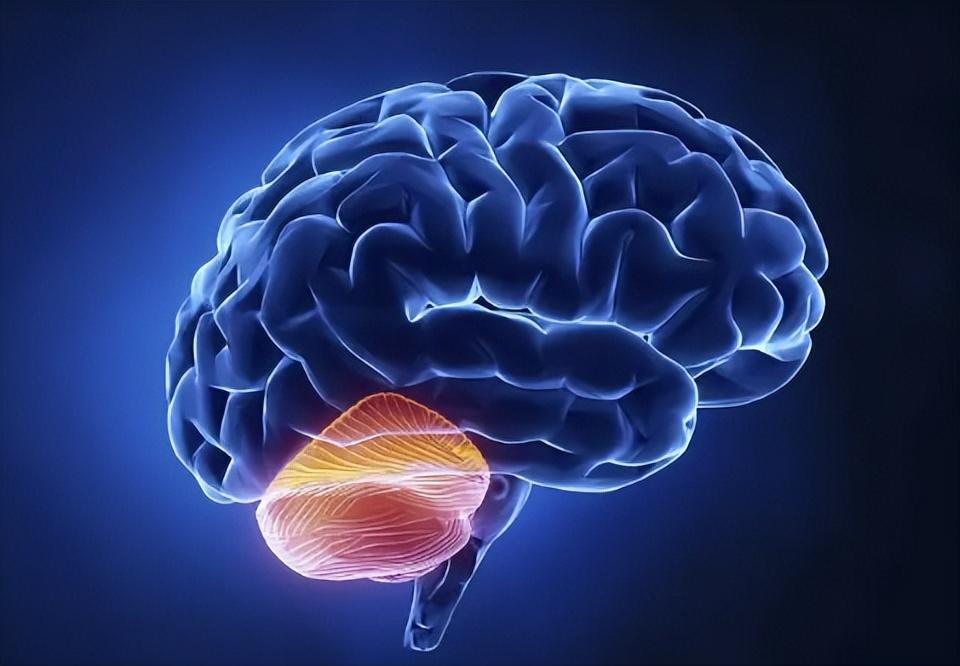 治疗男性精子活力的中药配方,提高精子活性的药治早泄吗