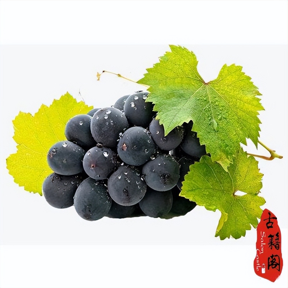 花卉大棚种植材料清单图片,大棚种植花卉盆栽推荐图片