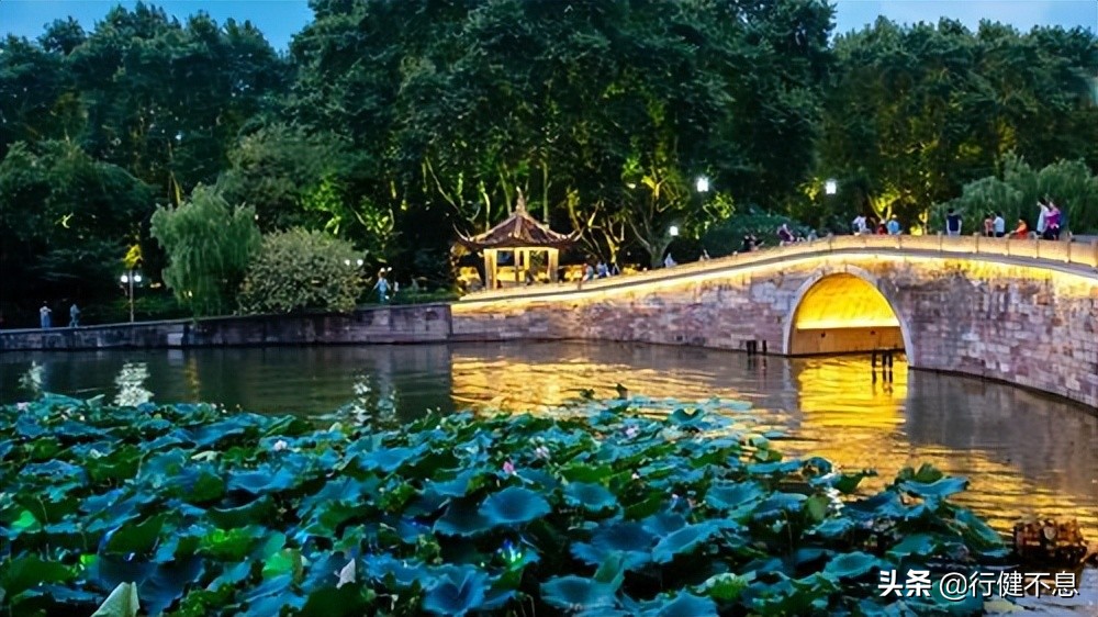 荷花十里桂三秋：十二首著名诗词，领略杭州的诗意之美