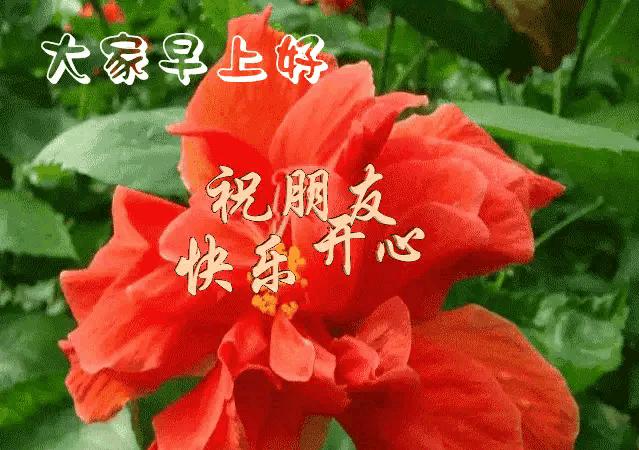 庚子日柱2023年癸卯年运势,癸卯年2023年哪个月出生最好