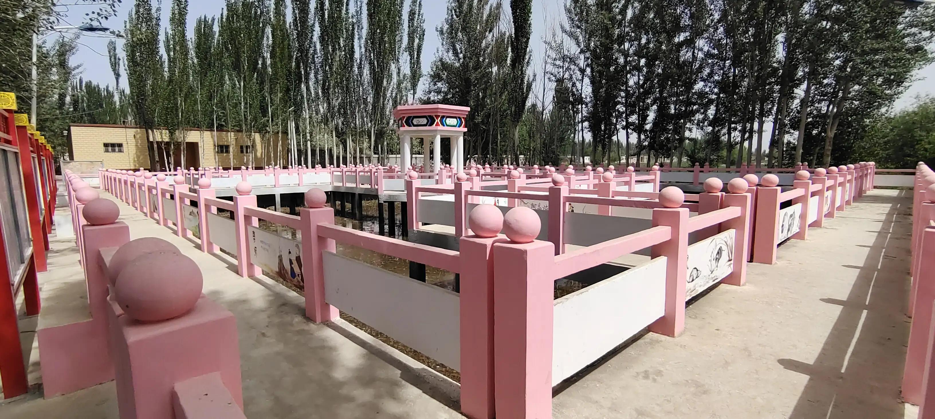 南疆柯坪,南疆记事密林诡境有声