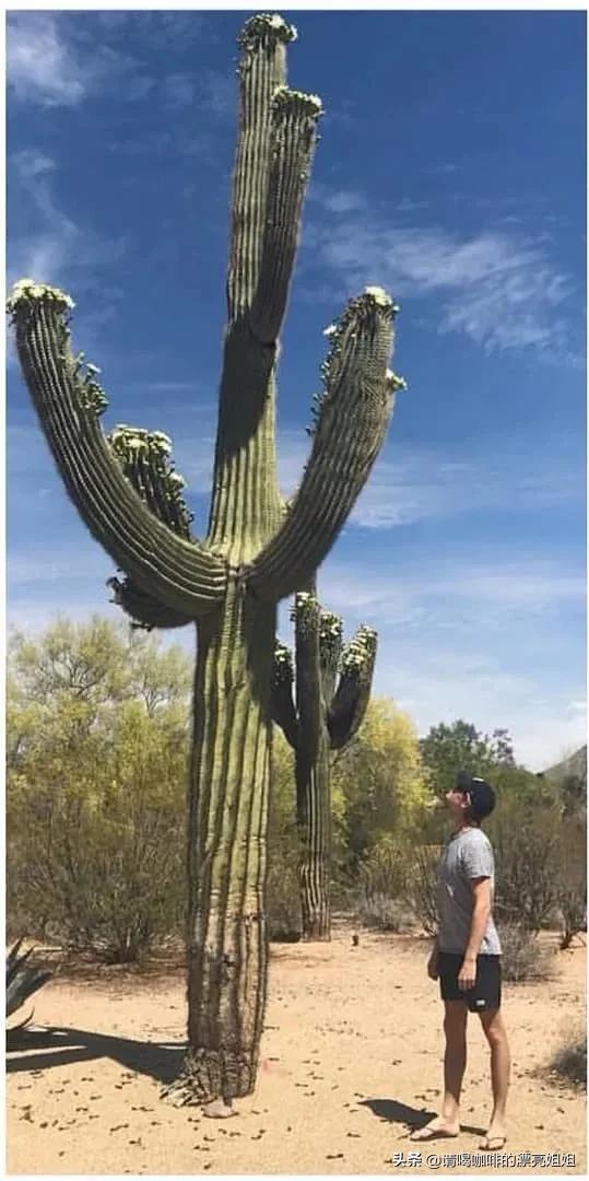 泰勒斯威夫特newromantics悉尼,泰勒斯威夫特人生感悟