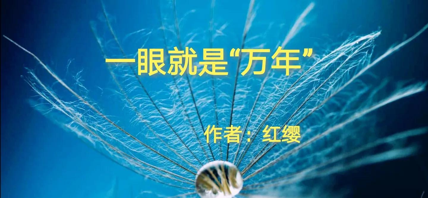 原创诗歌千年等一回,表达一眼万年的现代诗歌