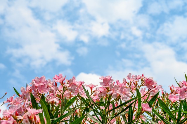 让你身材变好的三个动作,每天坚持10分钟练就完美身材