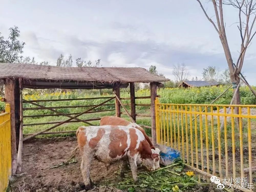 户外滑梯儿童乐园,户外免费滑梯
