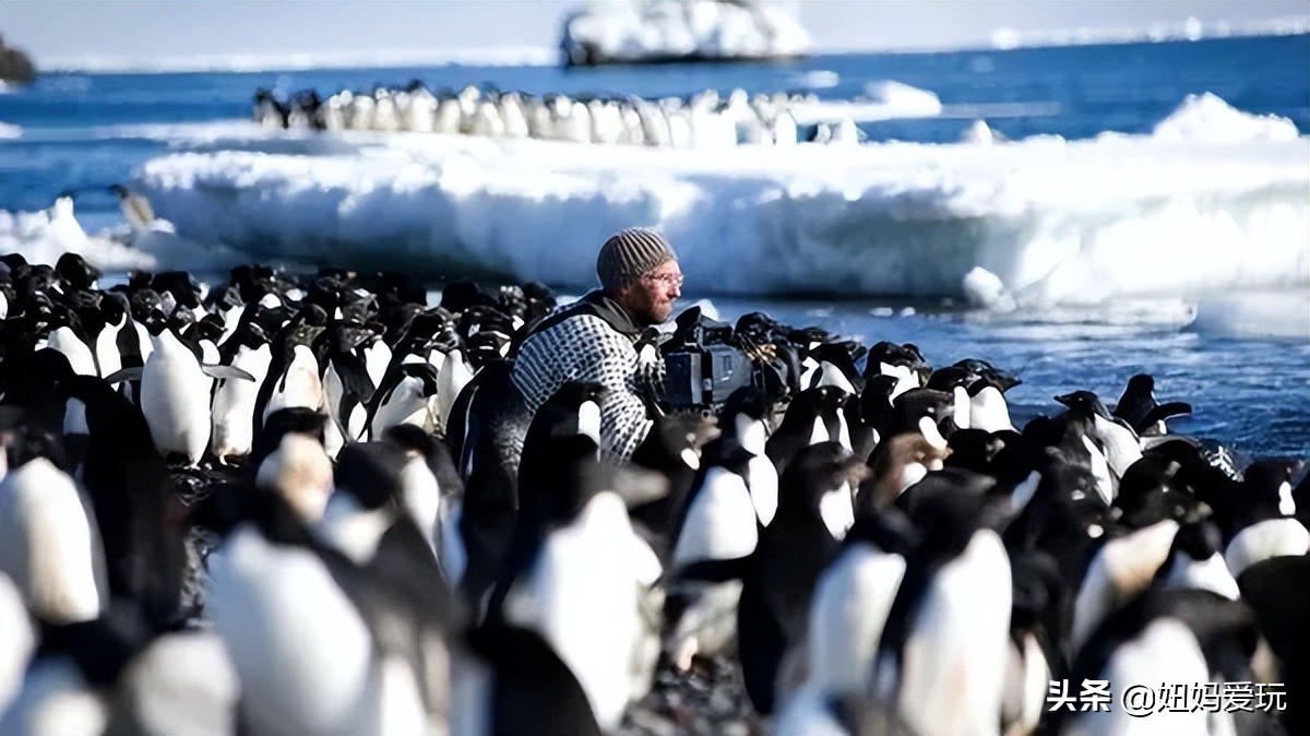 这几部口碑爆棚的宝藏纪录片,国庆孩子必看的8部神级纪录片