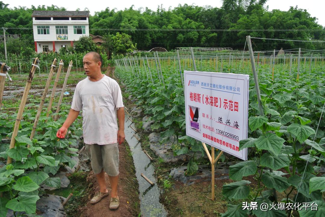 西班牙原装进口肥料艾德拉,西班牙艾德拉农肥料有限公司