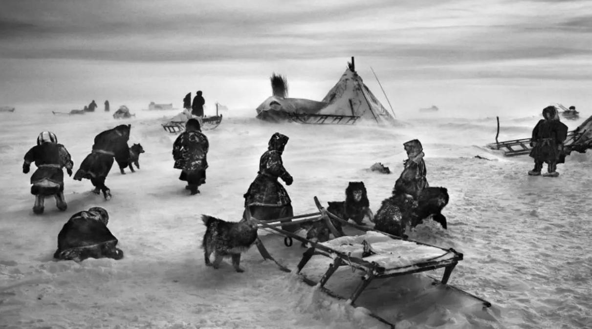 日本人兽杂交实验被允许，这是否违背伦理常纲？是创新还是灾难？