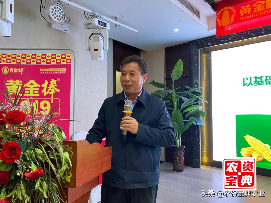 黄金棒819玉米种介绍,黄金棒YD819玉米种审定公告