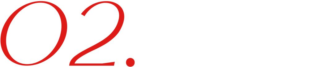 中国富豪的私人飞机,中国富商私人飞机排行榜