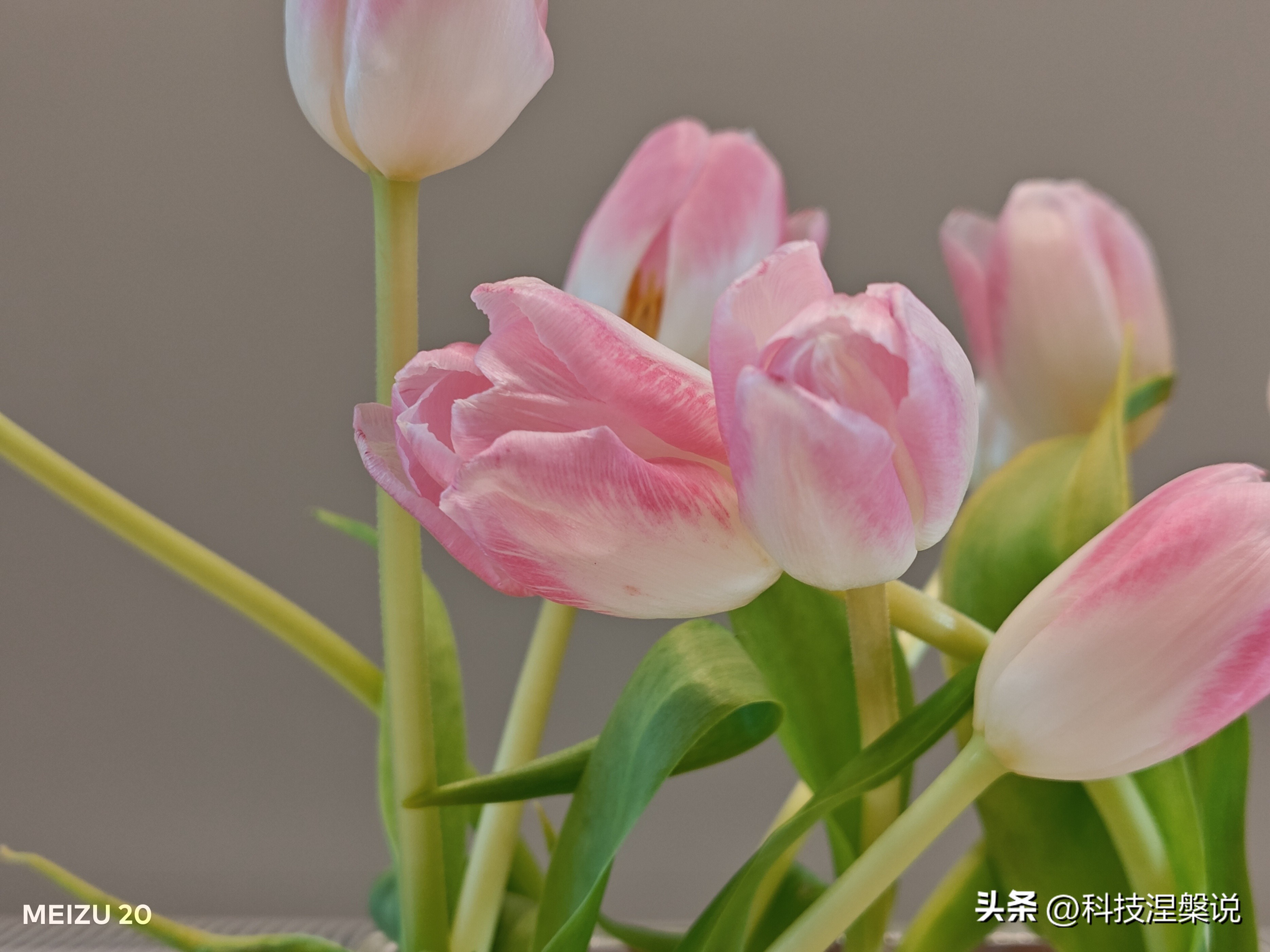 魅族20体验一段时间优缺点总结,魅族20个人真实使用感受