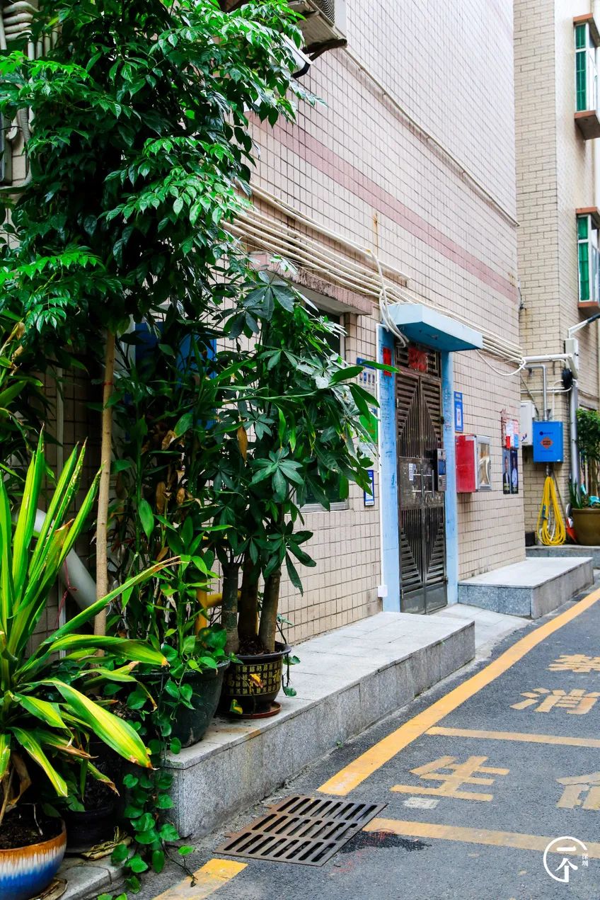 深圳航空空少乘务员,空姐空少乘务员