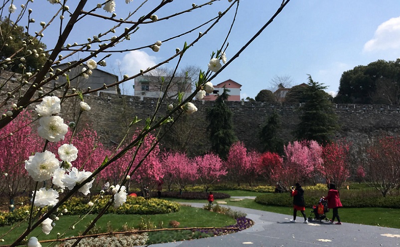 南京免费景点排行榜前十名,南京旅游年卡免费景点一览表