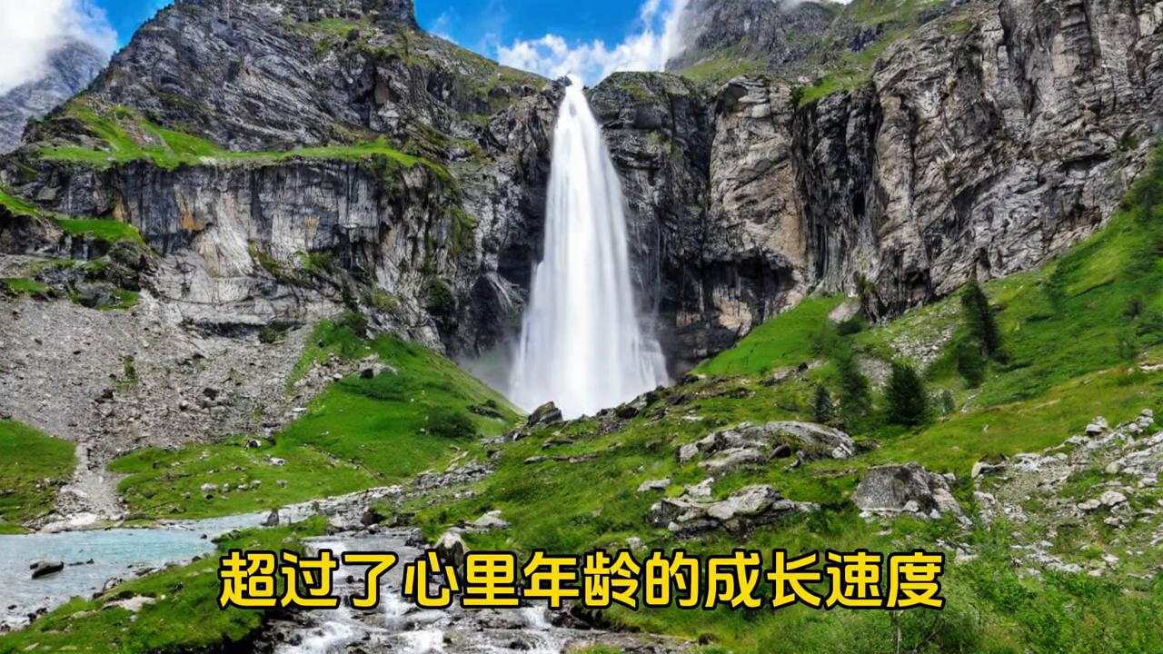 感悟原唱,感悟人生图片