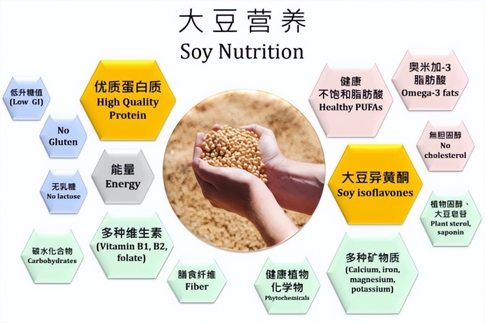 维他奶含有异黄酮吗,维他奶的营养价值怎么样