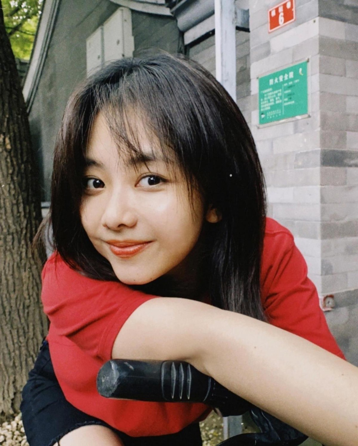 娱乐圈的白月光们有哪些共同点,娱乐圈白月光有哪些