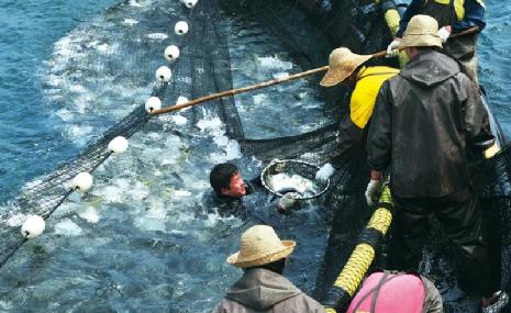 “惊涛拍岸”也是新能源？中国人要对海洋下狠手了？