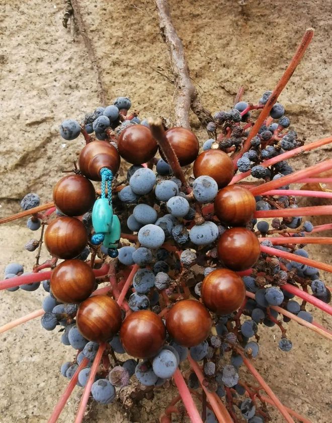 老山檀香怕水吗,印度老山檀香怎么包浆最快