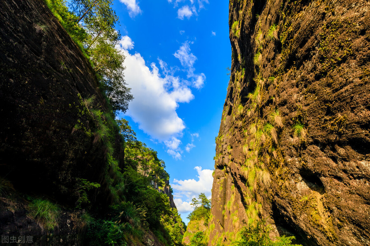 茶心普洱,茶心和茶碎