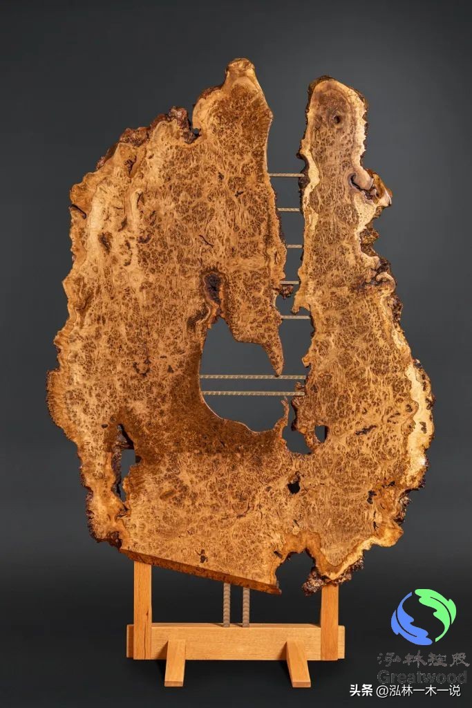 欧洲贵妇出轨被发现,欧洲白富美