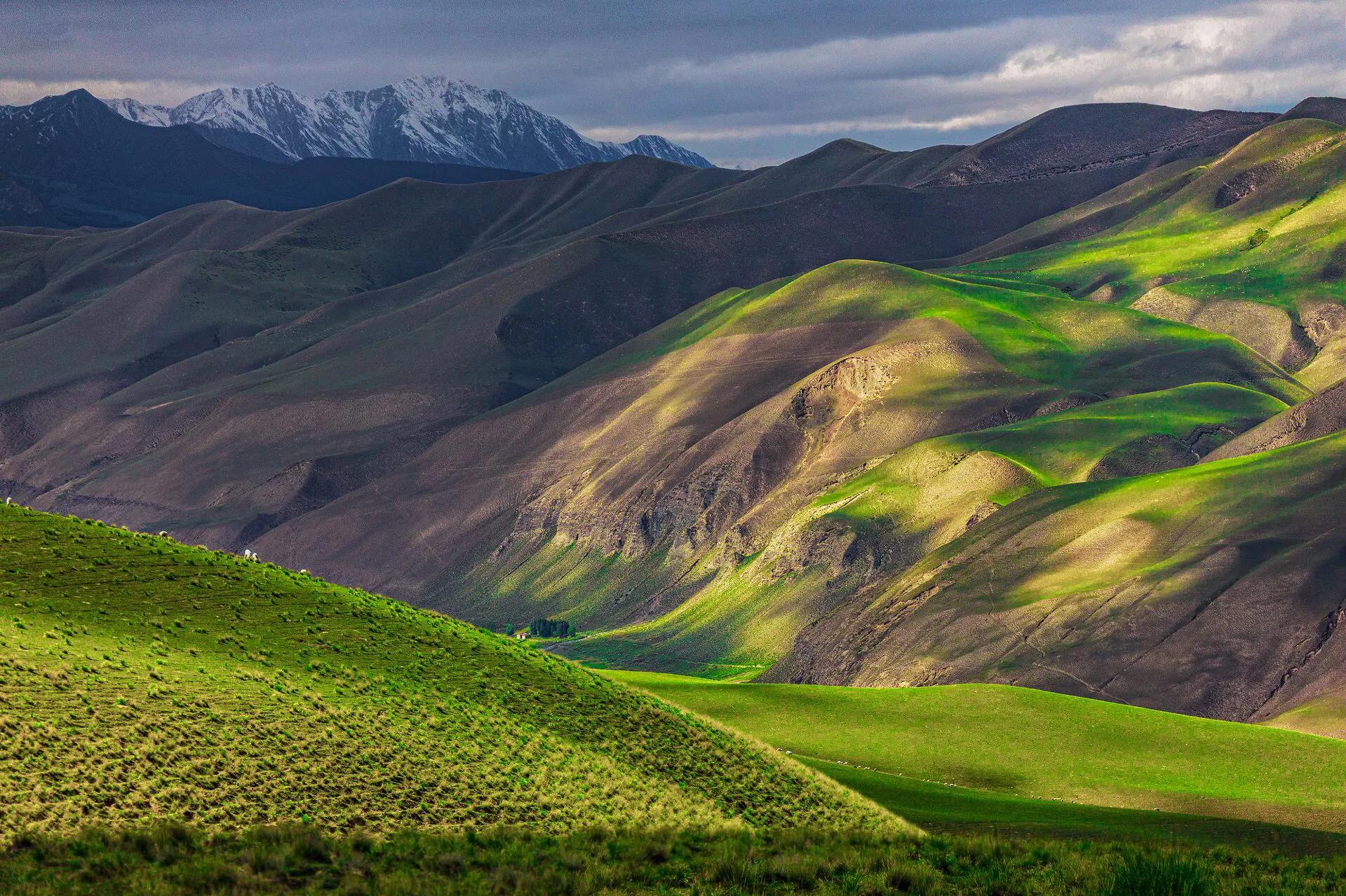 全国快递包邮为什么新疆不包邮,为什么快递发新疆不包邮