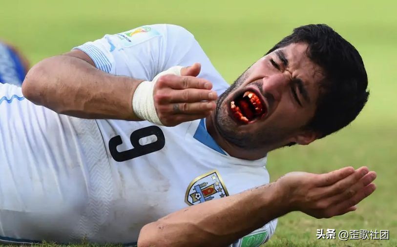 十万个冷知识第一季,十万冷知识系列