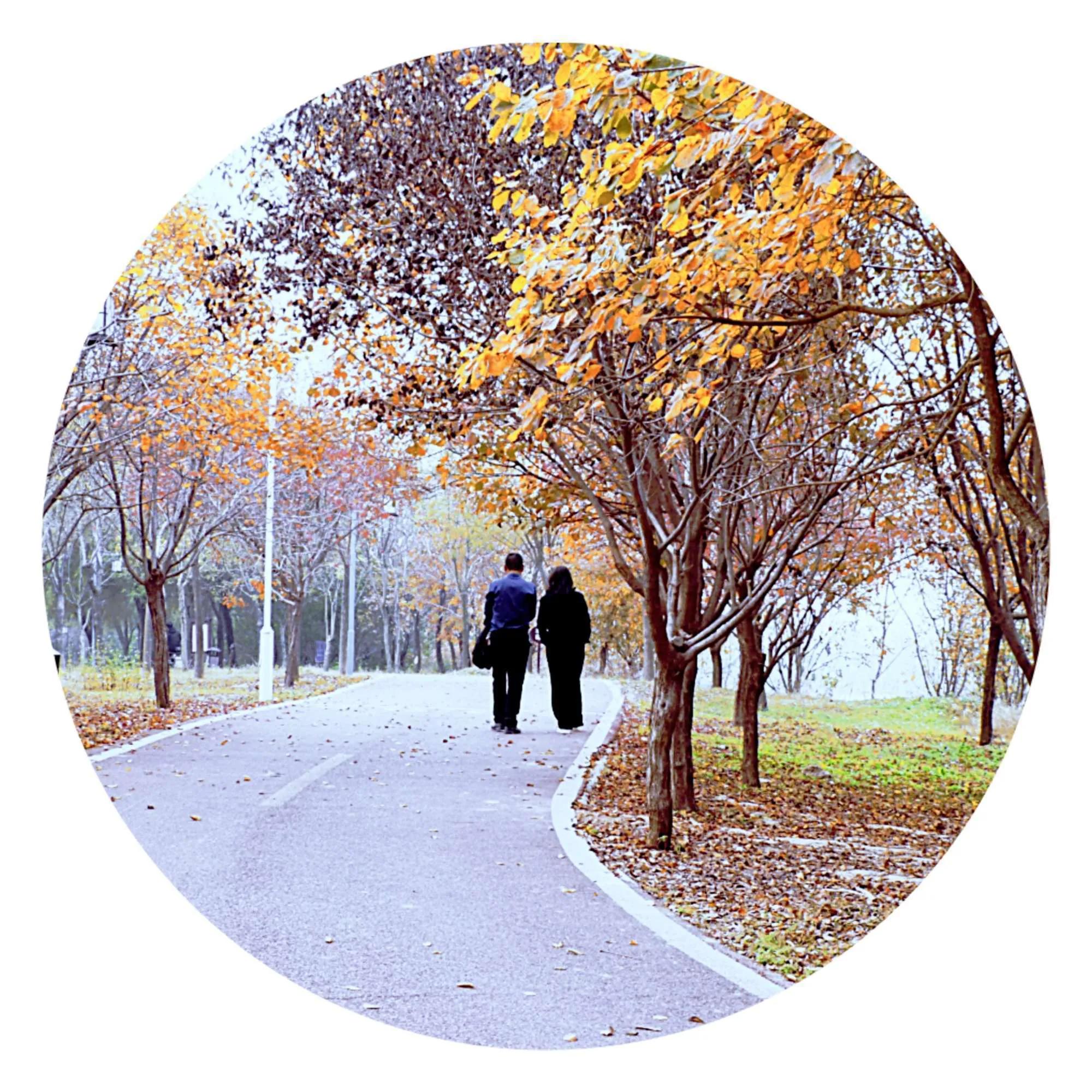 我的家乡鹿邑老子故里作文,我的家乡鹿邑作文400字怎么写