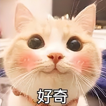 英国为啥在世界杯有4支球队,英国参加欧洲杯为什么分三个国家