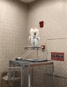 女孩子看起来外表美丽，其实裤袜已经掉到大腿根了！哈哈哈