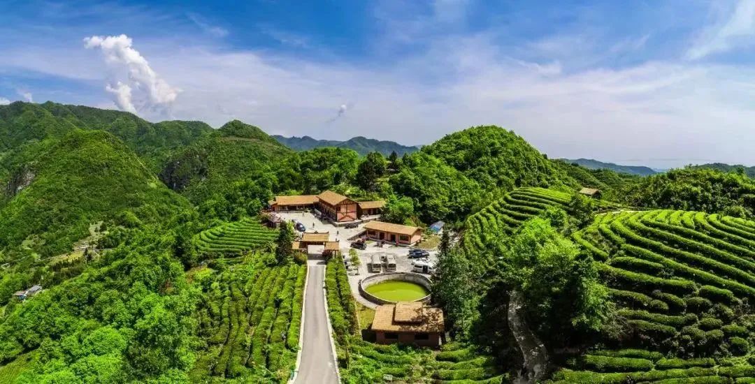 广元特色美食高档,广元传统美食