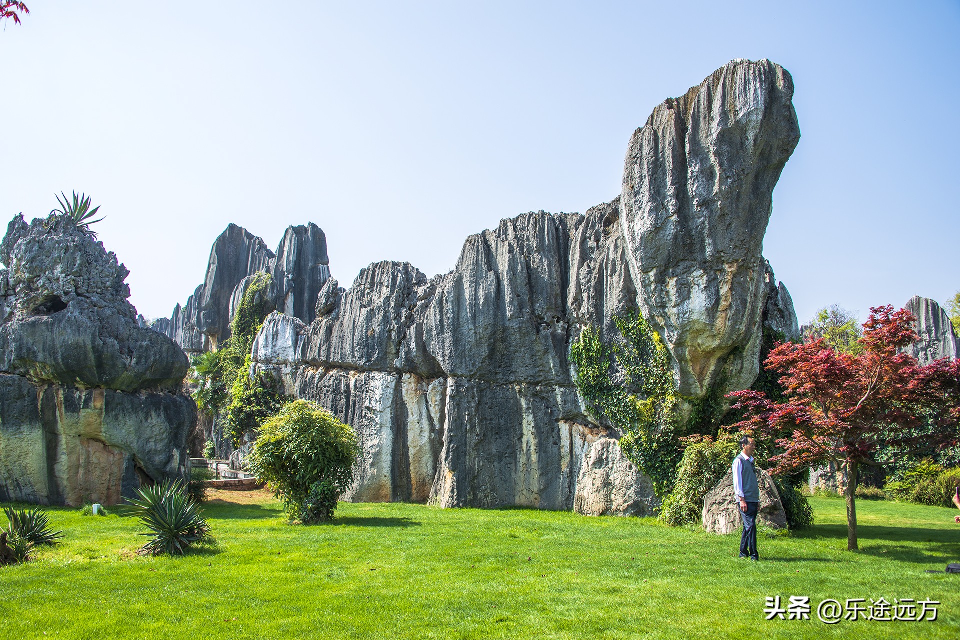 为什么一定要去云南,去昆明一定要去石林吗