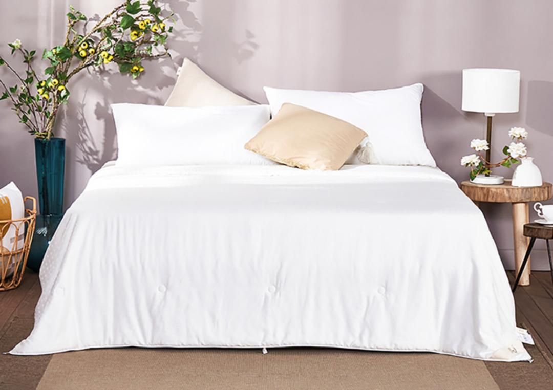 风很大的大豆被，你可能一直没买对